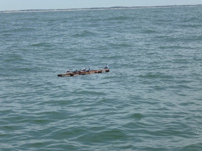 Schiffbrüchige Schiffbrüchige