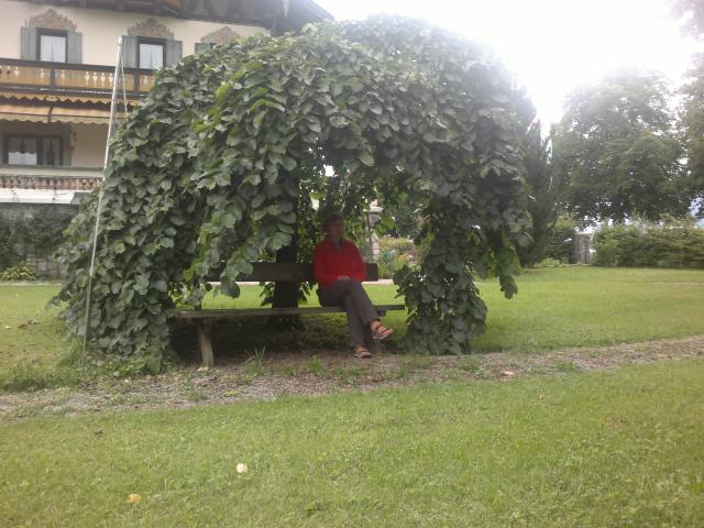 Relaxen im Park