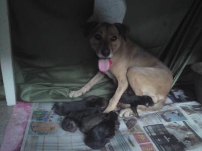 Meine neuen Mitbewohner