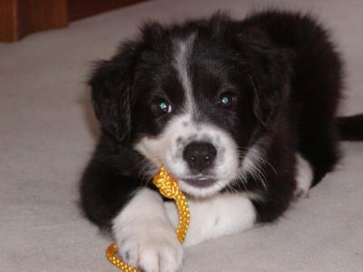 Die ersten Tage im neuen zu Hause.<br />
