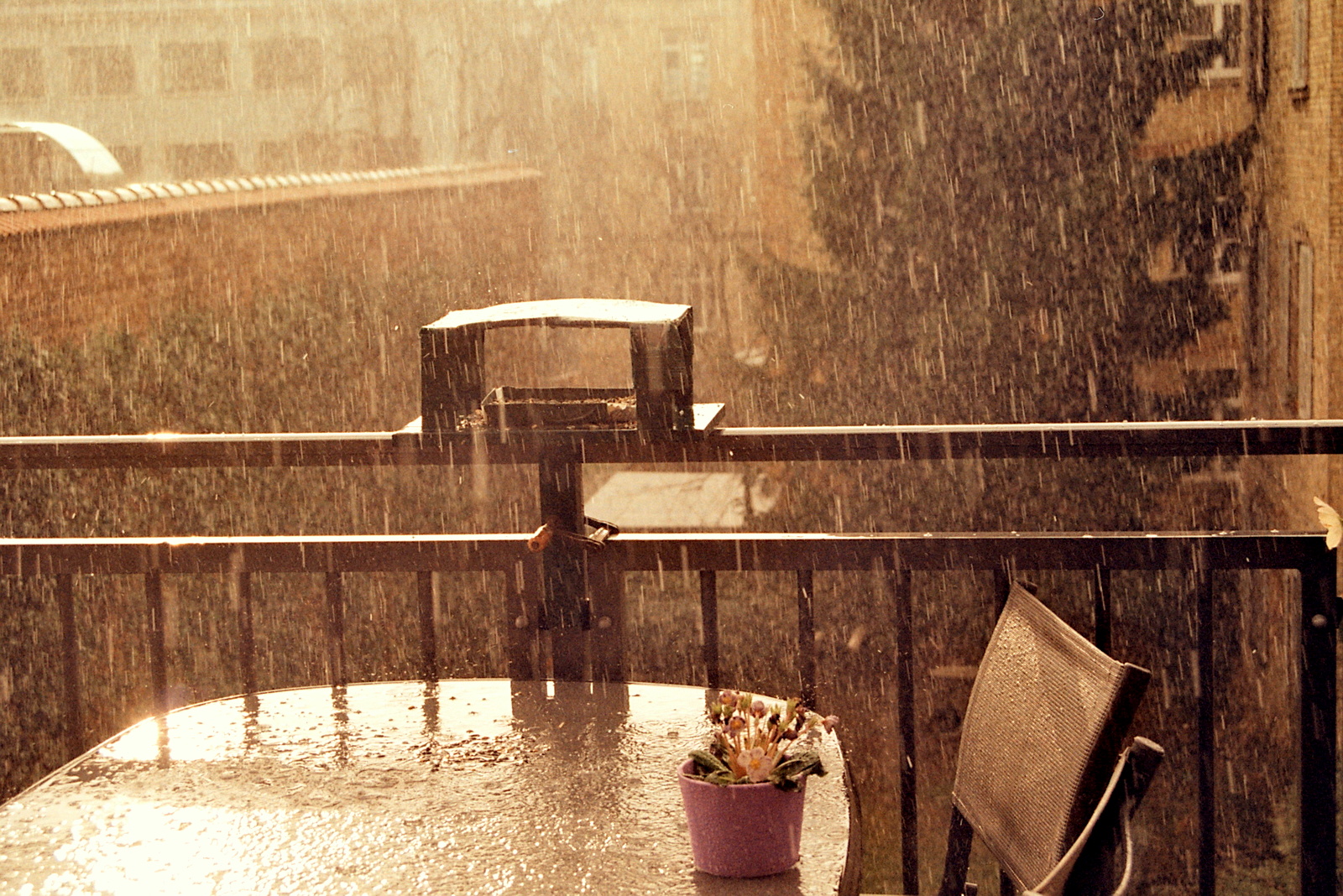Regen und Sonne sind was schönes :)
<br />
Luce