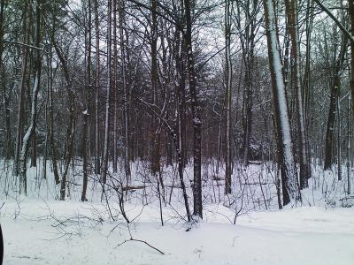 Schneelandschaft im Stau