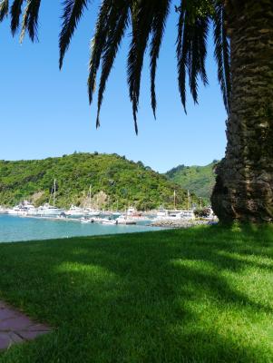 Picton 2