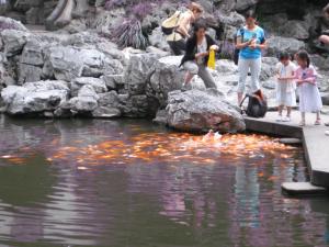 Happy-Fish-Garden Happy-Fish-Garden