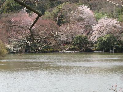 Park im Ryoanji