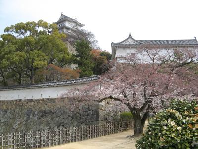 Himeji Carstle 1