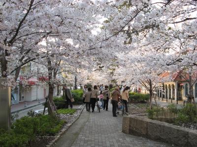 Hanami