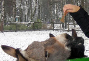 edel mit appetit auf altes brot