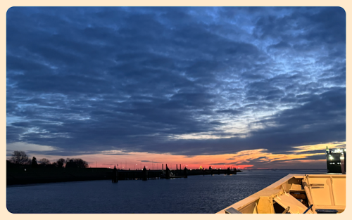 Leinenlos und Fahrt in den Sonnenuntergang Leinenlos und Fahrt in den Sonnenuntergang