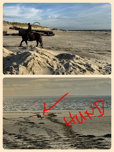 Auflösung des Suchbildes Auflösung des Suchbildes