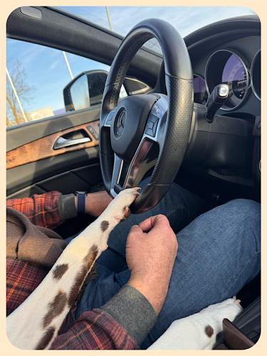 Bixa greift ins Lenkrad