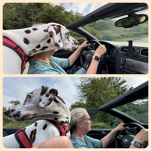 Bixa fährt Cabrio Bixa fährt Cabrio