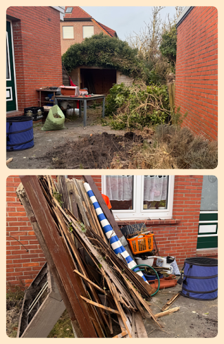 Efeuentfernung Zwischenstand