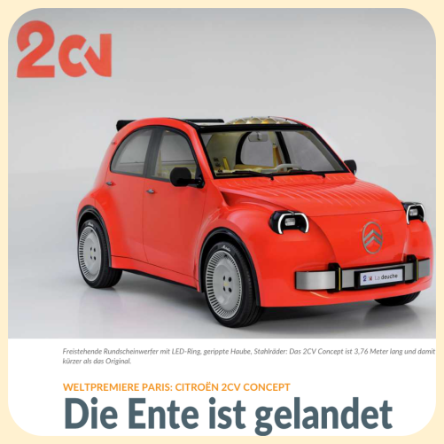 Die Ente ist gelandet 