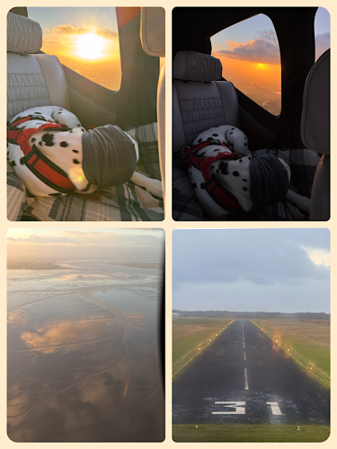 Flughund und Anflug auf Borkum Flughund und Anflug auf Borkum