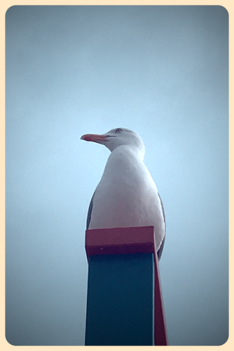 Wachposten Wachposten