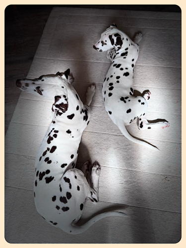 Mutter und Tochter Mutter und Tochter