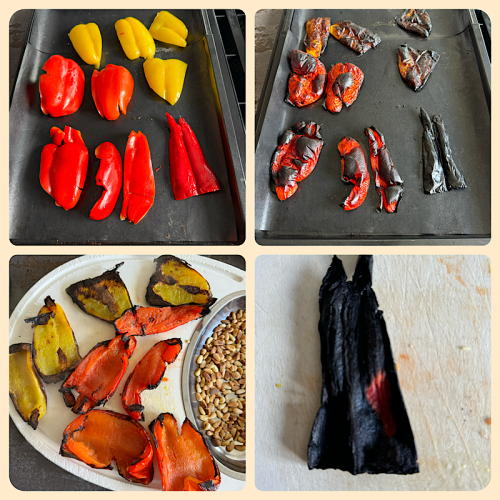 Gegrillte Paprika 