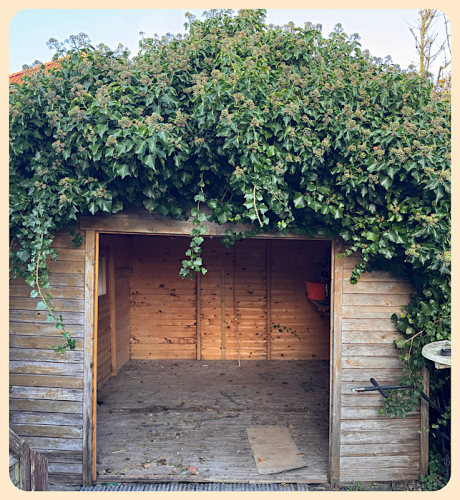 Der alte Schuppen ist endlich leergeräumt