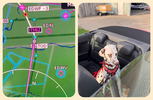 TOD und Flughund im Cabrio