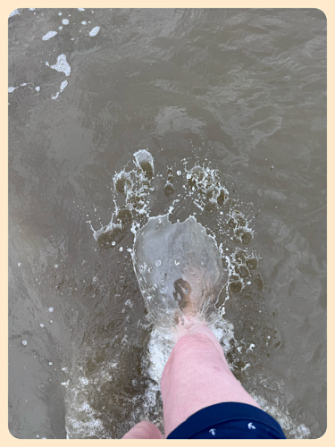 Wassertreten Wassertreten
