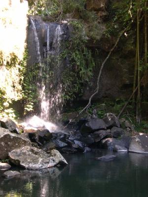 Curtis Falls in Mount Tamborine