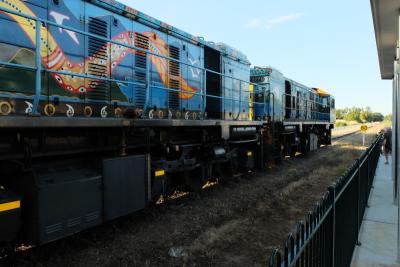 Lokomotiven des Scenic Railway-Zugs