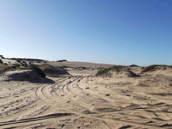 Die größte Wanderdüne der südlichen Halbkugel