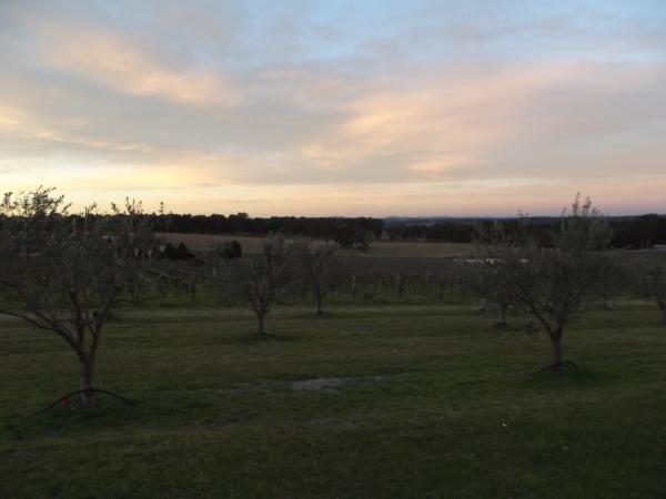 Weinfelder bei Sonnenuntergang