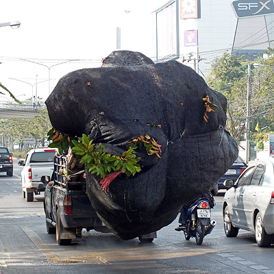 Thanon Phahon Yothin - Lat Phrao - Bangkok - 13 December 2011 - 9:31