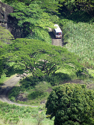 Vaivai Road - Lautoka - Viti Levu - Fiji Islands - 14 October 2009 - 10:15