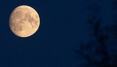 Mond ueber Finkenwerder, alte Suederelbe