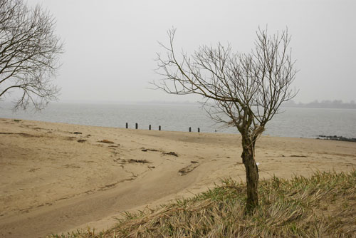 Elbe, Hetlinger Schanze