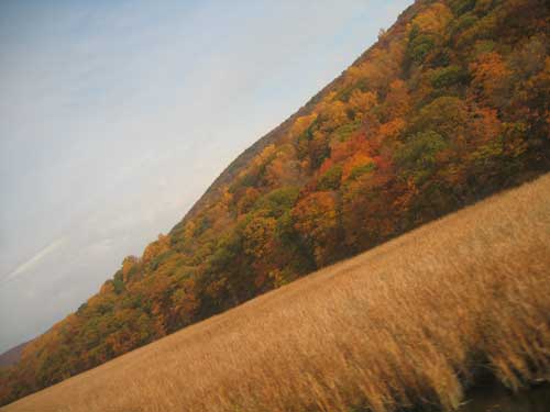 Herbst am Hudson River