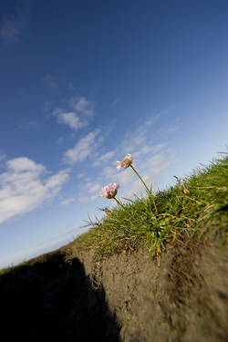 Nordfriesland