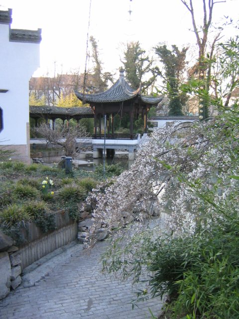 Chinesischer Garten Frankfurt