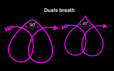 Die spiegelneuronal-duale Atmung.