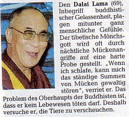 Leidender Lama