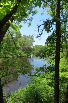Wenn ich aus meinem Fenster schaue, sehe ich genau das!