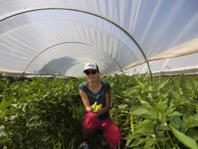 Birte ve Biber (Paprika)