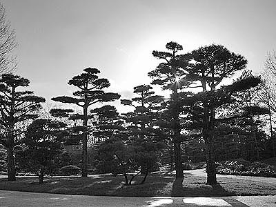 japanischer garten in duesseldorf