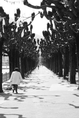 Promenade am Lago di Lugano