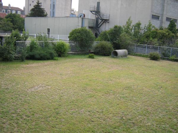 das ist der garten von meinem fenster aus