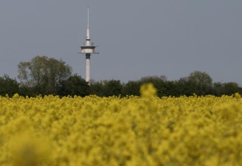 Den brauch kein Mensch auf Fehmarn