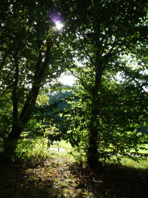 Fotokurs. Thema Herbst/Sp&auml;tsommer.