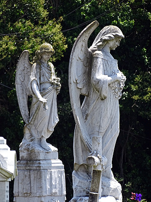 St Patricks Catholic Cemetery - Church Crescent - Panmure - Auckland - New Zealand - 29 December 2014 - 13:03