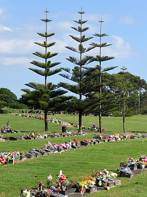 Manukau Memorial Gardens - Puhinui Road - Auckland - New Zealand - 16 January 2016 - 17:54