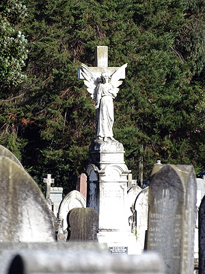 Waikaraka Cemetery - Onehunga - Auckland - New Zealand - 2 March 2015 - 9:29