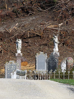 Palmerston Cemetery - New Zealand - 8 October 2015 - 9:31