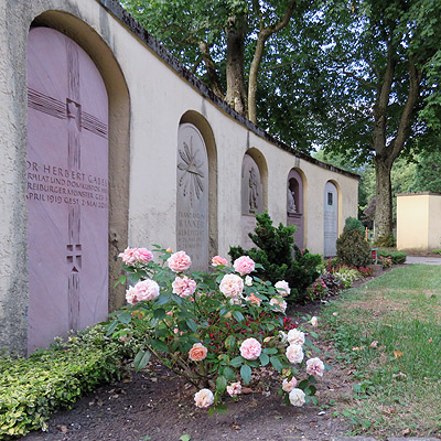 Hauptfriedhof - Freiburg - 9 July 2015 - 20:58